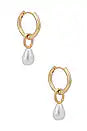 Link Pearl Earrings in Gold