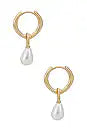 Link Pearl Earrings in Gold